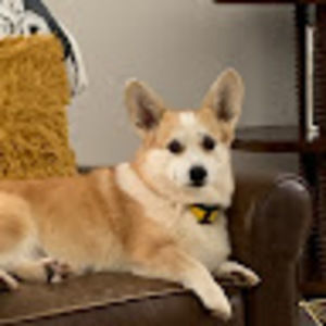 Meet your Posher, La